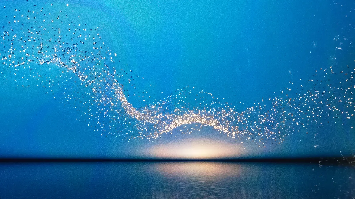 6 Rephrase.ai Alternatives To Consider
