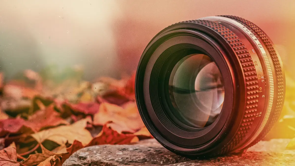 Best Practices in Training and Development: What Most Companies Miss