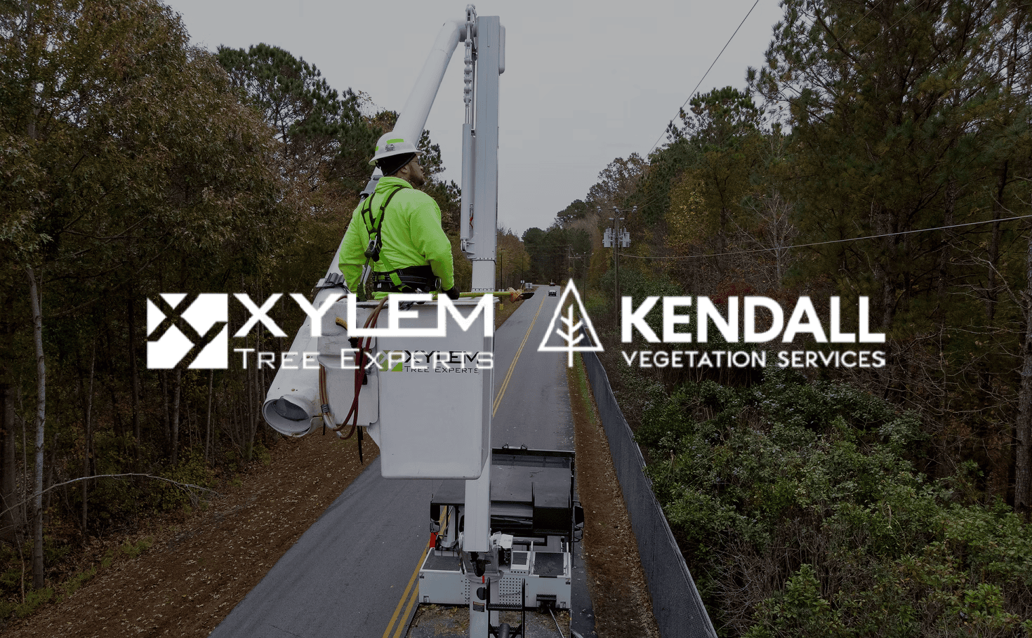 Xylem Kendall
